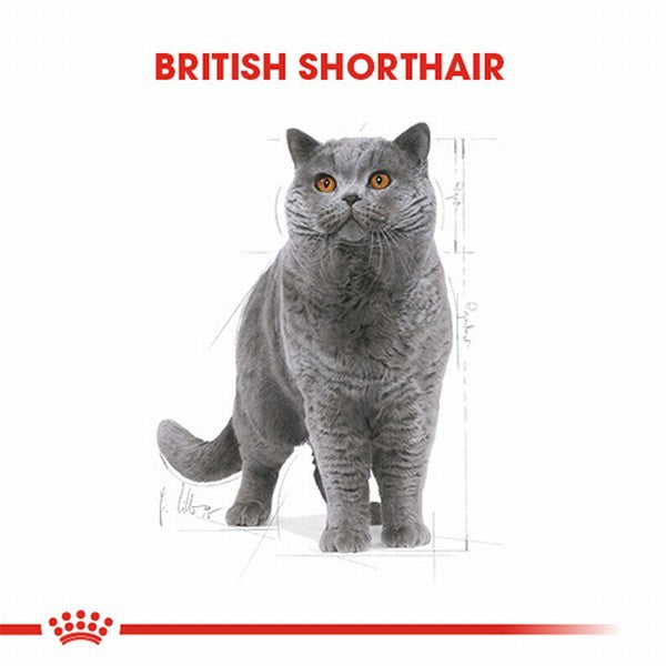 Royal Canin British Shorthair Adult Yetişkin Kedi Maması 400 Gr