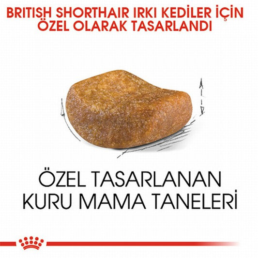 Royal Canin British Shorthair Adult Yetişkin Kedi Maması 400 Gr