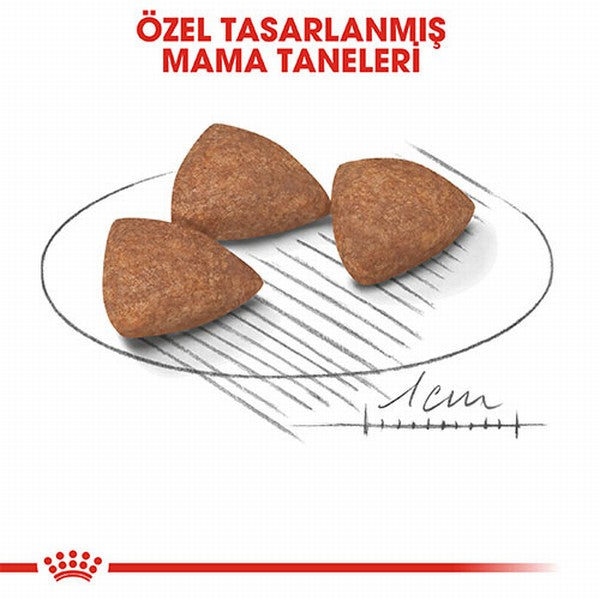 Royal Canin Mini İndoor Adult Küçük Irk Yetişkin Köpek Maması 1,5 Kg