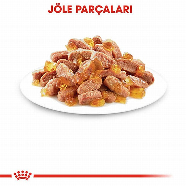 Royal Canin Pouch Kitten Jelly Yavru Kedi Konservesi 6 Adet 85 Gr