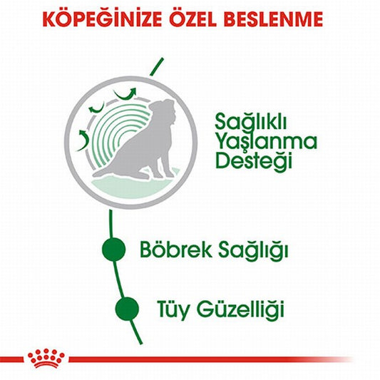 Royal Canin Mini Ageing 12+ Pouch Yaşlı Köpek Konservesi 6 Adet 85 Gr