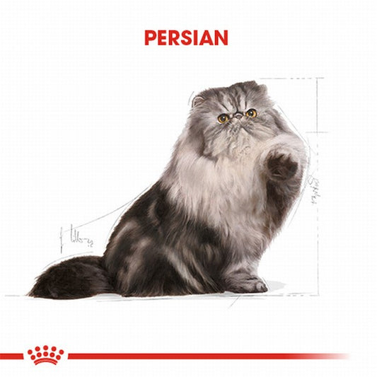 Royal Canin Persian Adult Pouch Yetişkin Kedi Konservesi 85 Gr