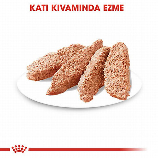 Royal Canin Ccn Dermacomfort Loaf Pate Pouch Küçük Irk Yetişkin Köpek Konservesi 6 Adet 85 Gr