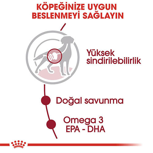 Royal Canin Medium Adult Gravy Yetişkin Köpek Konservesi 10 Adet 140 Gr