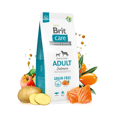 Brit Care Skin Coat Somonlu Tahılsız Yetişkin Köpek Maması 12 Kg