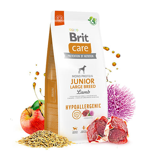 Brit Care Hypoallergenic Junior Large Breed Lamb Kuzulu Büyük Irk Yavru Köpek Maması 12 Kg