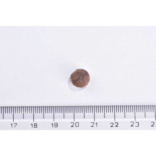 Brit Care Sensitive Hipoalerjenik Larva Proteinli Tahılsız Yetişkin Kedi Maması 2 Kg