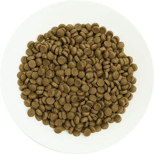 Pro Choice Pro 36 Kuzulu ve Pirinçli Yetişkin Kedi Maması 2 Kg