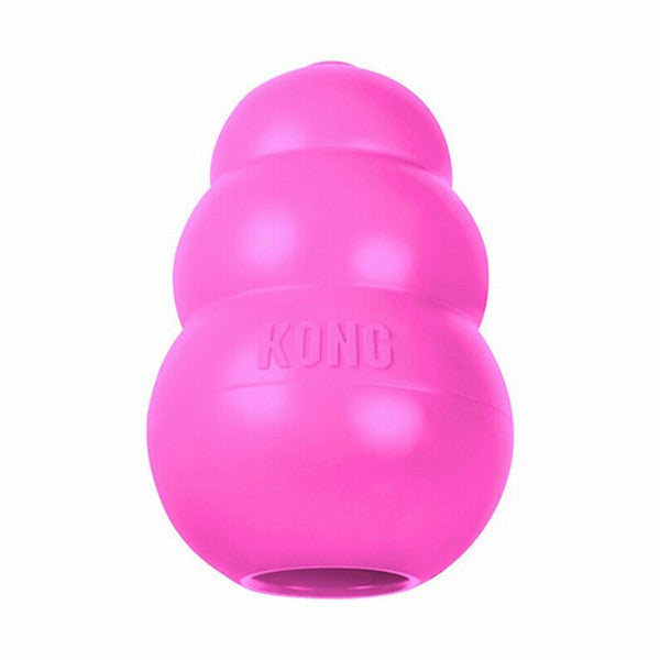 Kong Puppy Kauçuk Byük Irk Yavru Köpek Oyuncağı Large 10 Cm