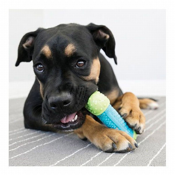 Kong Core Strength Plastik Köpek Çiğneme Oyuncağı, 17,5 Cm