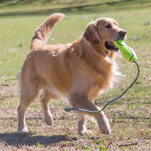 Kong Air Dog Fetch Stik İpli Köpek Oyuncağı Large