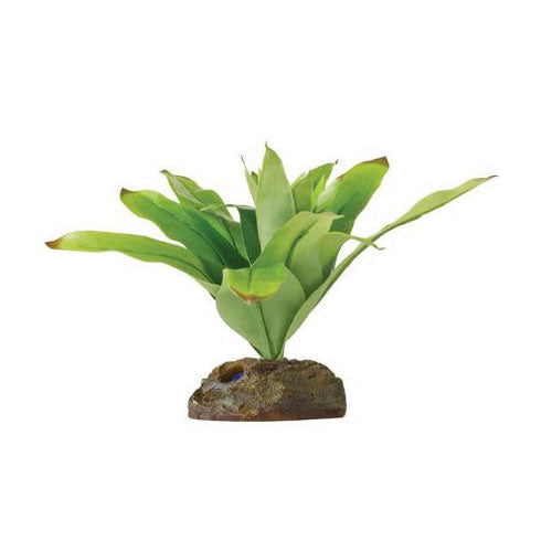 Exo Terra Küçük İpek Neoregelia Plastik Teraryum Bitkisi