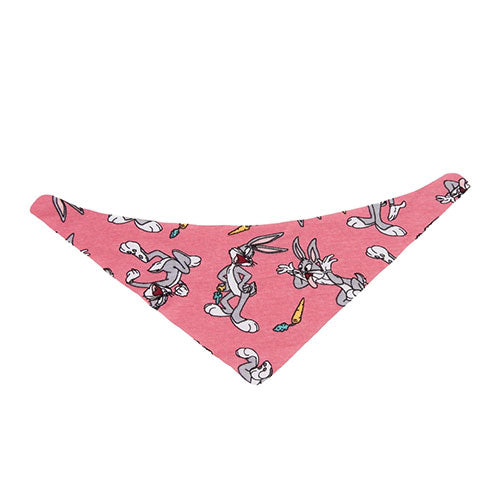 Lepus Fular Köpek Boyun Tasması Small No:1