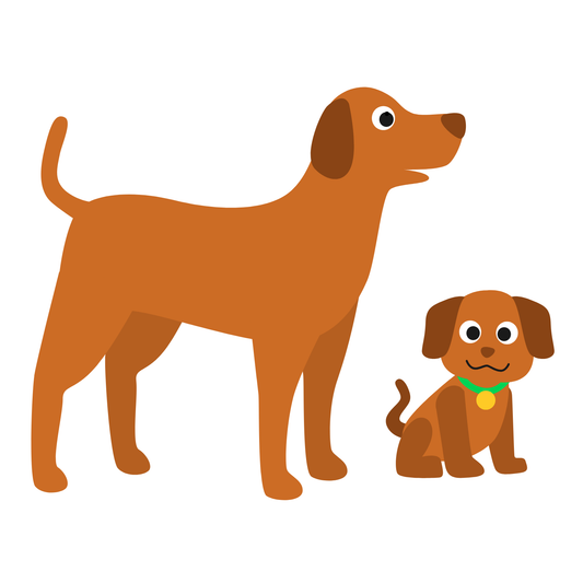 Sezaryen Operasyonu (20 kg üstü)