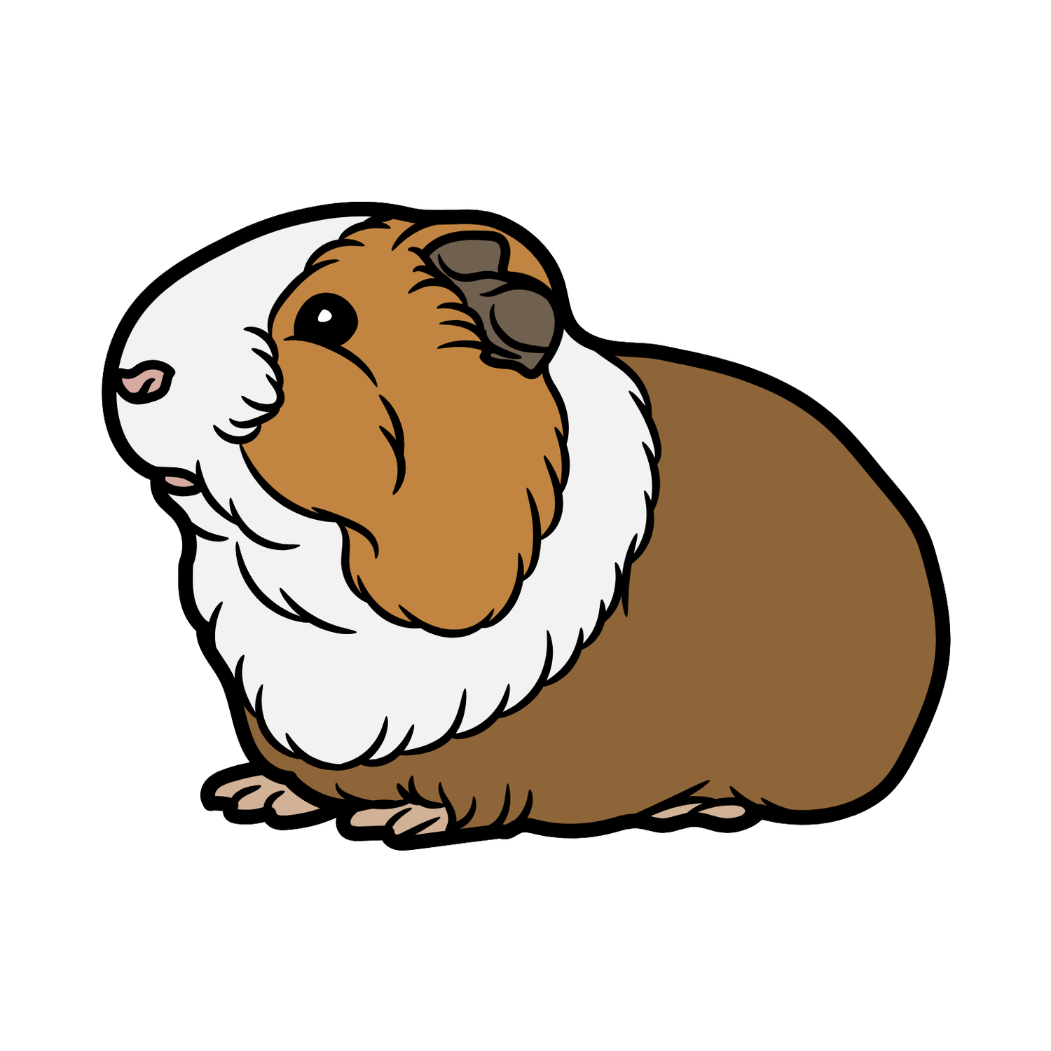 Ginepig