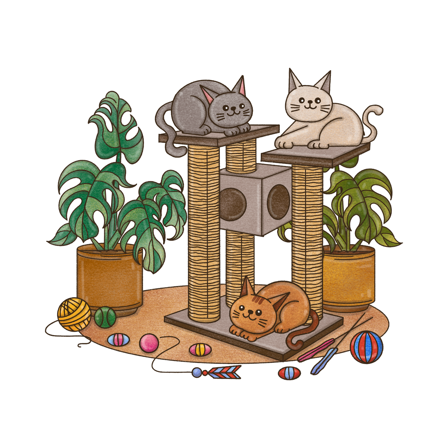 Kedi Aksesuarları ve Diğer Ürünler