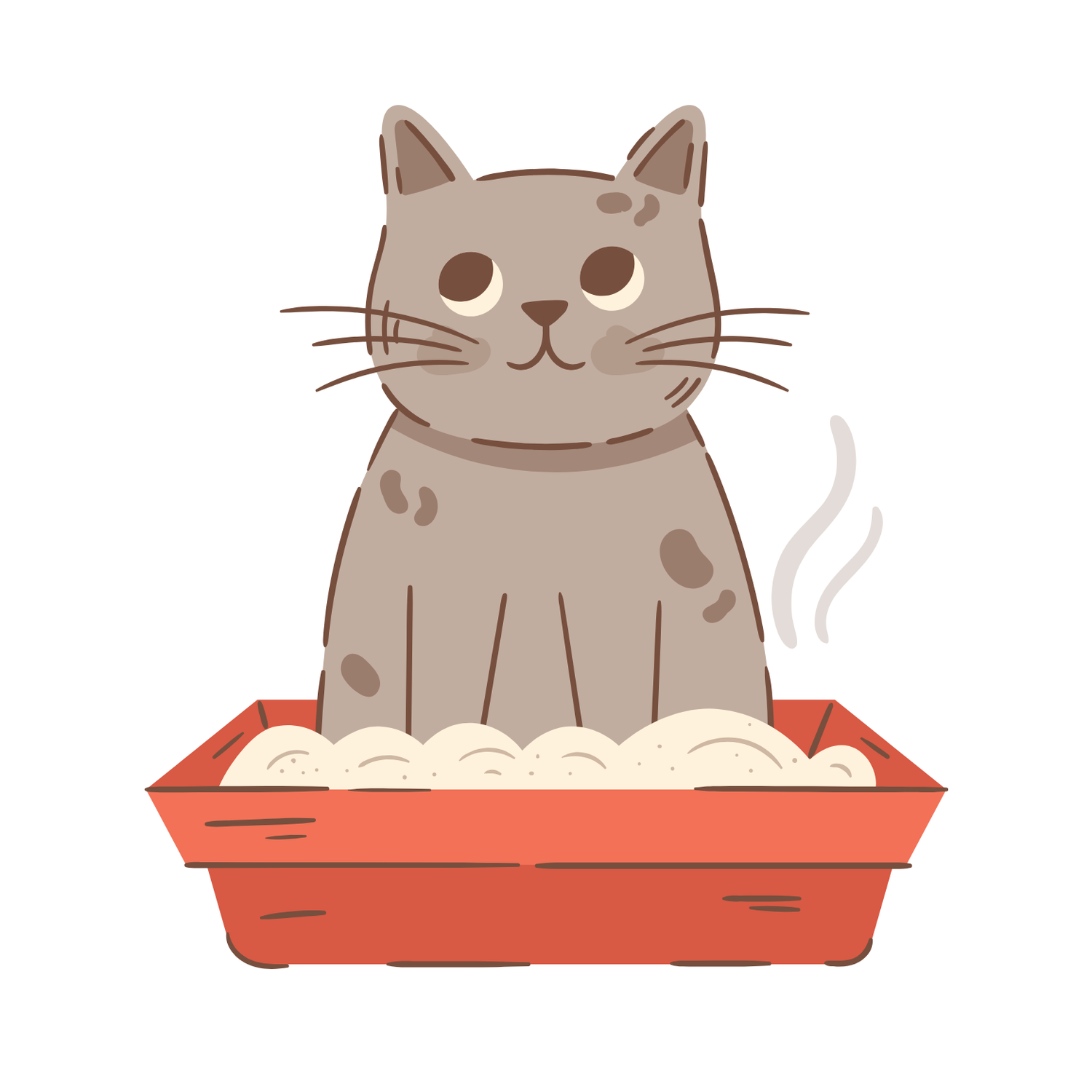 Kedi Tuvaletleri