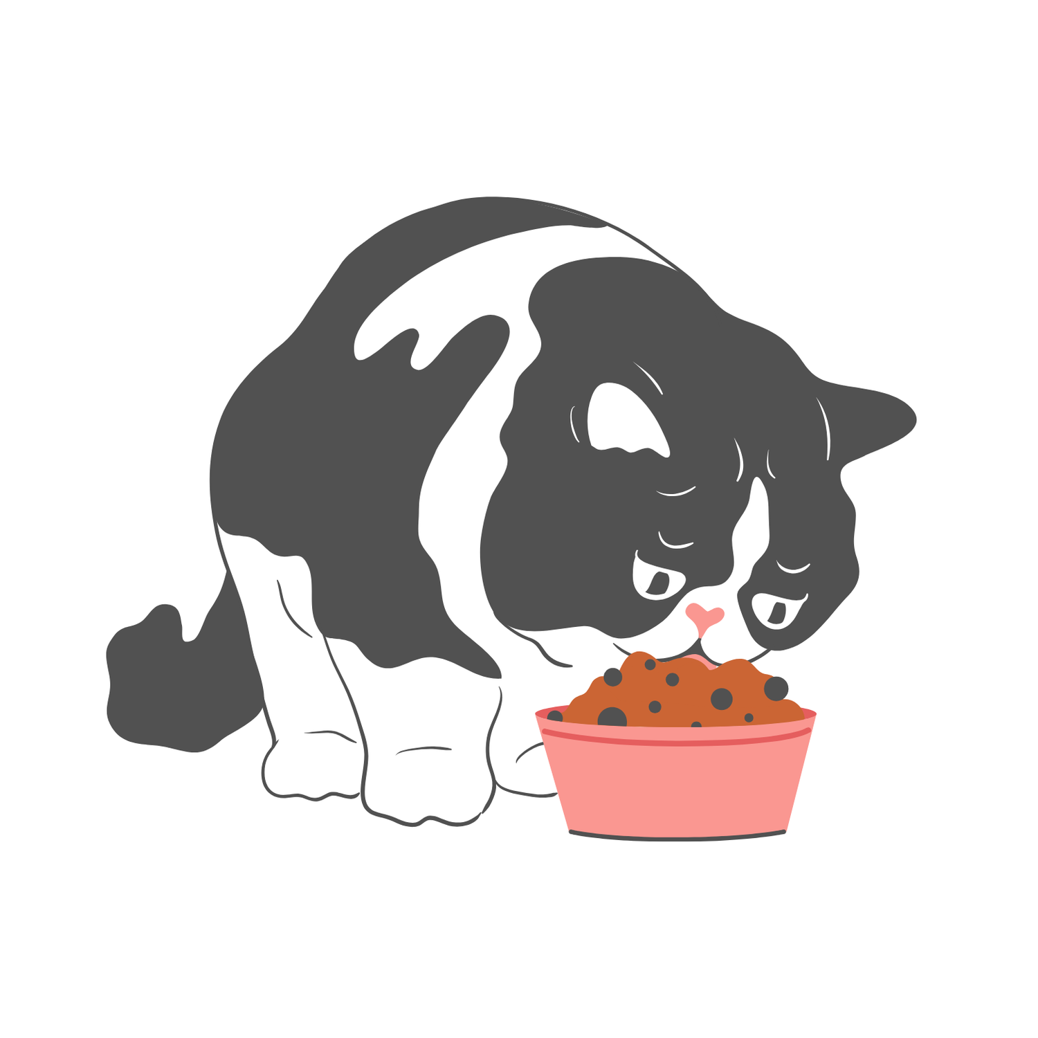 Yaşlı Kedi Abonelik Ürünleri