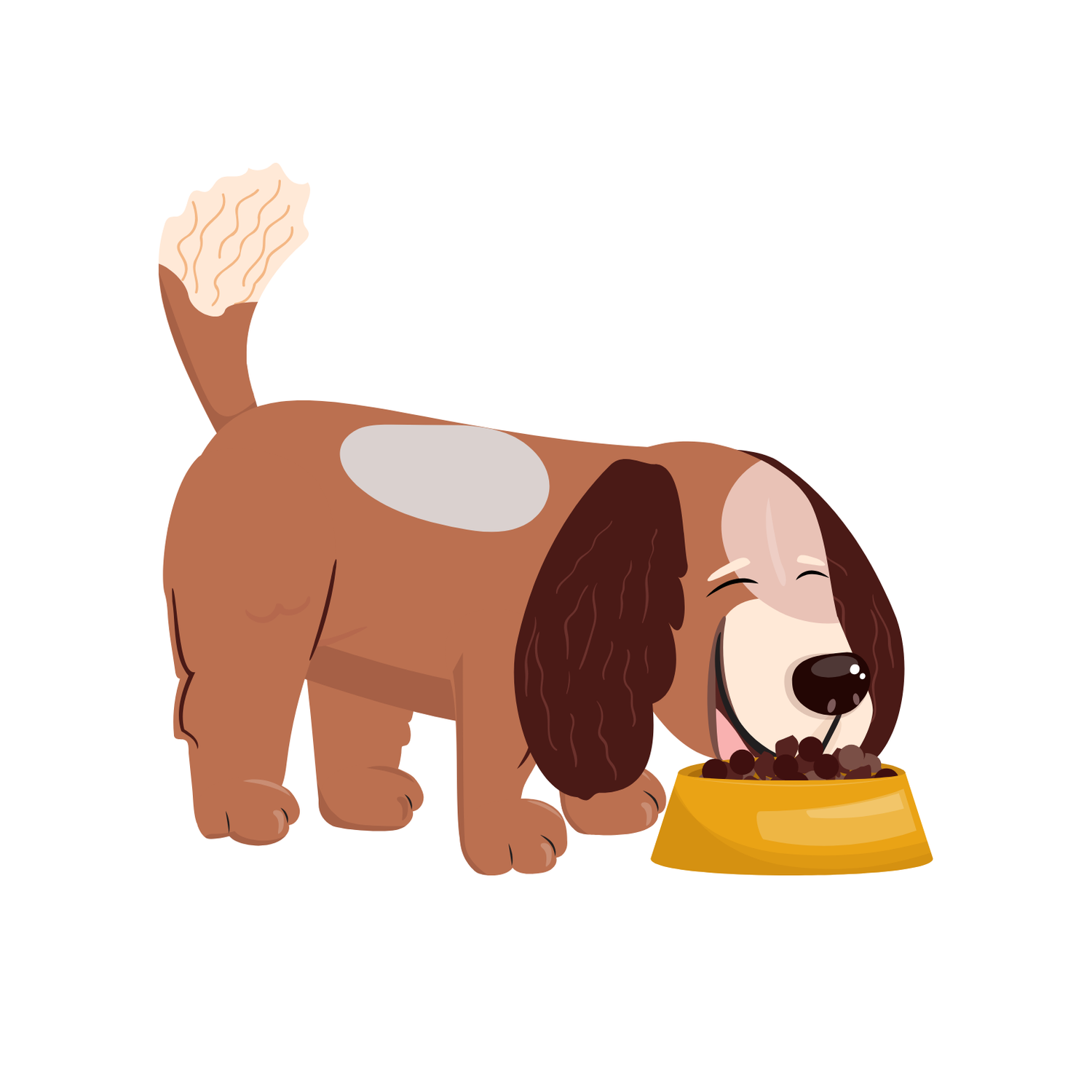 Yetişkin Köpek Abonelik Ürünleri
