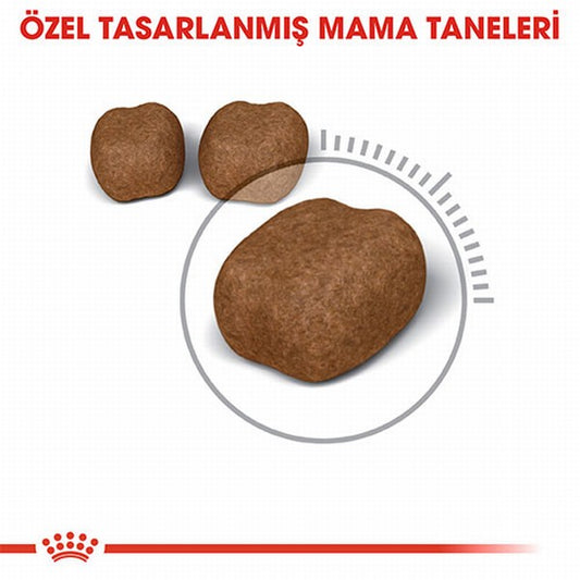 Royal Canin Oral Care Ağız Diş Sağlığı İçin Yetişkin Kedi Maması 1,5 Kg