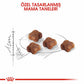 Royal Canin Mother & Babycat Yavru Kedi Maması 400 Gr
