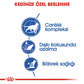 Royal Canin İndoor 7+ Evde Yaşayan Yaşlı Kedi Maması 1,5 Kg