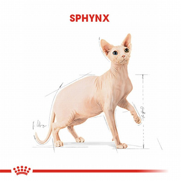 Royal Canin Sphynx Adult Yetişkin Kedi Maması 2 Kg