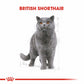 Royal Canin British Shorthair Adult Yetişkin Kedi Maması 400 Gr