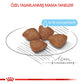 Royal Canin Mini Starter Mother & Babydog Küçük Irk Yavru Köpek Maması 4 Kg