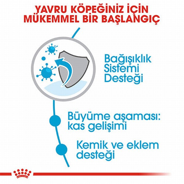 Royal Canin Giant Junior Dev Irk Puppy Yavru Köpek Maması 15 Kg