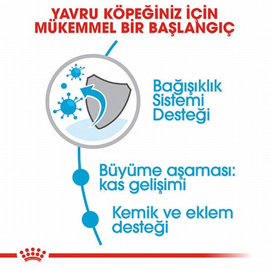 Royal Canin Giant Junior Dev Irk Puppy Yavru Köpek Maması 15 Kg