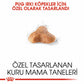 Royal Canin Pug Adult Yetişkin Köpek Maması 1,5 Kg