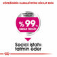 Royal Canin Ccn Mini Exigent Küçük Irk Yetişkin Köpek Maması 3 Kg