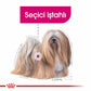 Royal Canin Ccn Mini Exigent Küçük Irk Yetişkin Köpek Maması 3 Kg