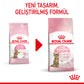 Royal Canin Kitten Sterilised Kısırlaştırılmış Yavru Kedi Maması 2 Kg