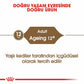 Royal Canin Ageing 12+ Gravy Pouch Yaşlı Kedi Konservesi 12 Adet 85 Gr