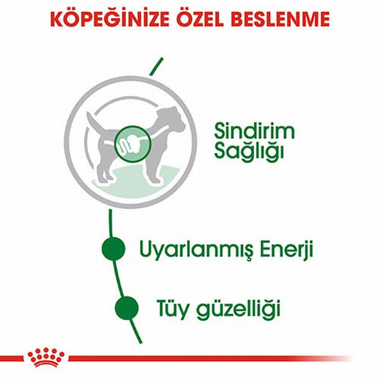 Royal Canin Mini Adult Pouch Yetişkin Köpek Konservesi 12 Adet 85 Gr