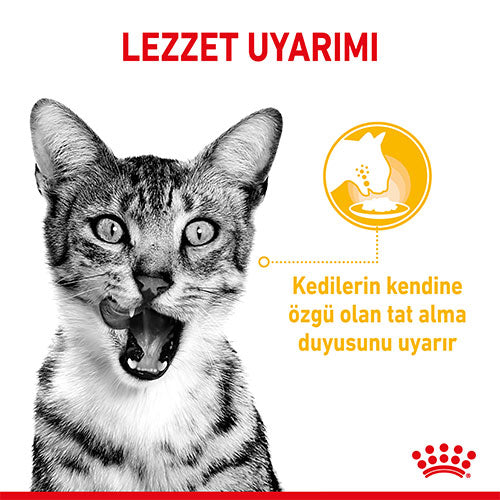 Royal Canin Sensory Taste Gravy Adult Yetişkin Kedi Konservesi 12 Adet 85 Gr