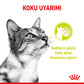 Royal Canin Sensory Smell Gravy Adult Yetişkin Kedi Konservesi 12 Adet 85 Gr