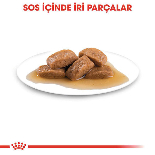 Royal Canin Maxi Adult Gravy Yetişkin Köpek Konservesi 10 Adet 140 Gr