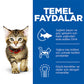 Hill’s SCIENCE PLAN Kitten Tavuklu Yavru Kedi Maması 1,5 Kg