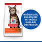 Hill’s SCIENCE PLAN Adult Lamb Kuzulu Yetişkin Kedi Maması 3 Kg