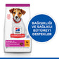 Hill’s SCIENCE PLAN Puppy Small & Mini Chicken Küçük Irk Tavuklu Yavru Köpek Maması 1,5 Kg 620-607652