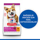 Hill’s SCIENCE PLAN Adult Small & Mini Chicken Küçük Irk Tavuklu Yetişkin Köpek Maması 6 Kg
