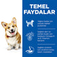 Hill’s SCIENCE PLAN Adult Small & Mini Chicken Küçük Irk Tavuklu Yetişkin Köpek Maması 6 Kg