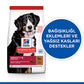Hill’s SCIENCE PLAN Adult Large Breed Lamb & Rice Büyük Irk Kuzulu Yetişkin Köpek Maması 14 Kg
