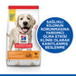 Hill's SCIENCE PLAN Adult Light Large Chicken Büyük Irk Tavuklu Light Köpek Maması 14 Kg