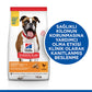 Hill’s SCIENCE PLAN Adult Light Medium Chicken Orta Irk Tavuklu Light Köpek Maması 2,5 Kg