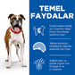 Hill’s SCIENCE PLAN Adult Light Medium Chicken Orta Irk Tavuklu Light Köpek Maması 2,5 Kg