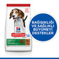Hill’s SCIENCE PLAN Puppy Medium Lamb & Rich Orta Irk Kuzulu Yavru Köpek Maması 2,5 Kg